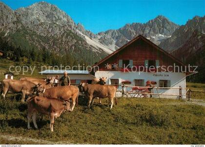 Telfs Tirol Eppzirler Alm