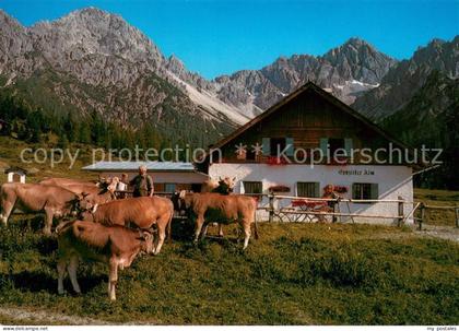 Telfs Tirol Eppzirler Alm