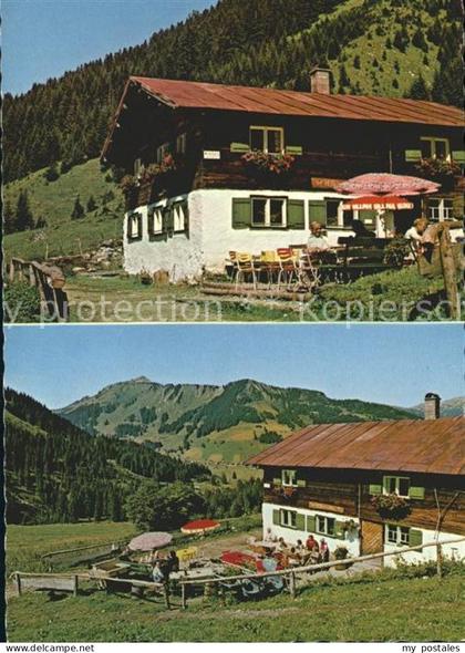 Wildental Wies Alpe