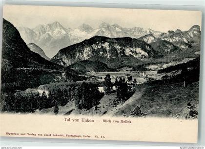 39533667 - Unken