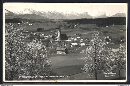 AK Strasswalchen, Ortsansicht zur Baumblüte, Frühlingsansicht