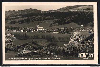 AK Thalgau, Ortsansicht mit Kirche, Panorama