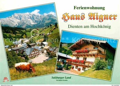 Dienten Hochkoenig Ferienwohnung Haus Aigner