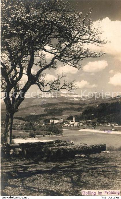 Golling Salzach Panorama