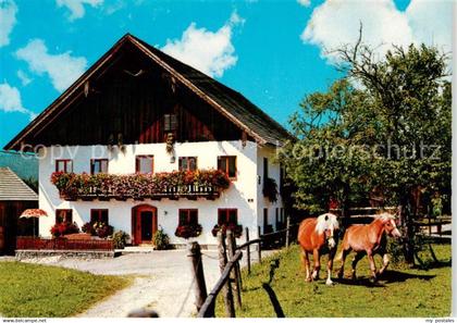Thalgau AT Urlaub auf dem Bauernhof Hans und Lisl Bichler