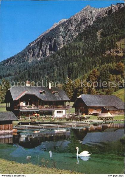 Wagrain Salzburg Gasthaus Jaegersee Schwan