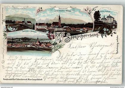 13666884 - Seekirchen am Wallersee