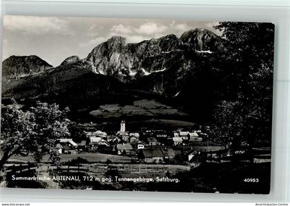 40114088 - Abtenau