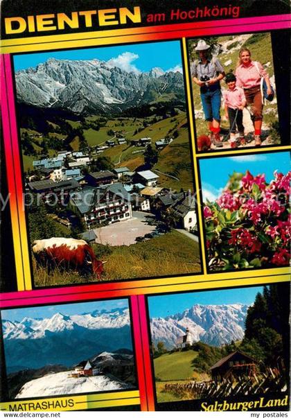 Dienten Hochkoenig Matrashaus Panorama Alpenflora