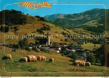 Maria Alm Steinernen Meer