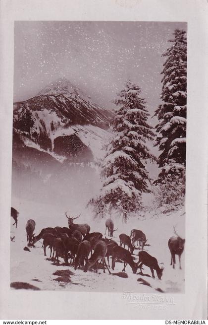 Scheibbs Foto Theodor Mark 1913