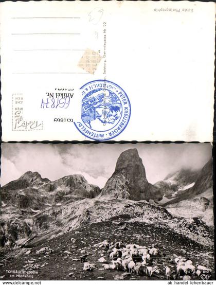 651874,Foto Ak Torsäule a. Hochkönig Mühlbach am Hochkönig Schafe