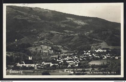 AK Eibiswald, Ortsansicht gegen die Berge