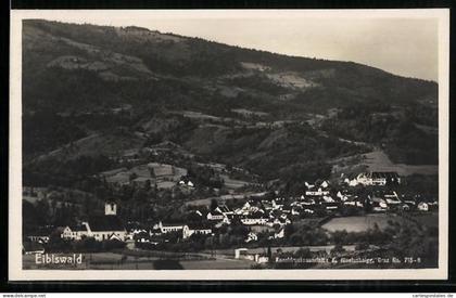 AK Eibiswald, Ortsansicht gegen die Berge