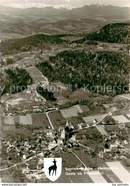 Gams Bad Fliegeraufnahme