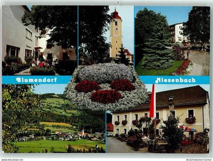 39381785 - Birkfeld