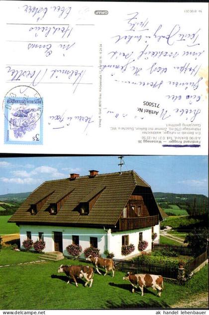715005 Birkfeld Pension Krogger Kühe