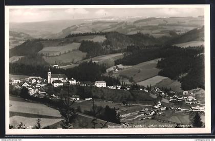 AK Birkfeld, Ortschaft und Talansicht von oben