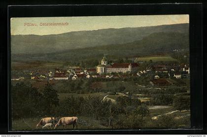 AK Pöllau i. d. Oststeiermark, Panoramaansicht