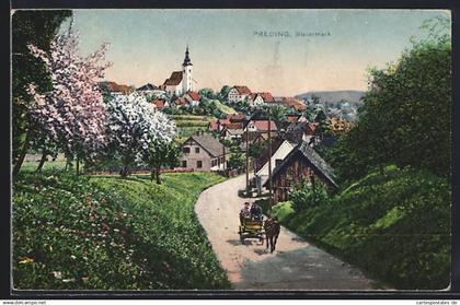 AK Preding /Steiermark, Totalansicht mit Landstrasse im Frühling