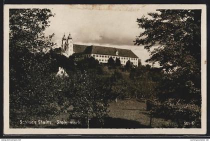 AK Stainz / Steiermark, Blick auf das Schloss Stainz