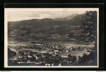AK Trieben, Generalansicht der Stadt im Tal