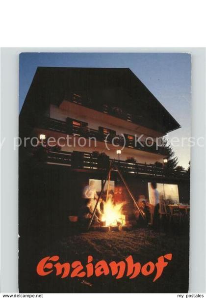 Ligist Hotel Enzianhof Lagerfeuer