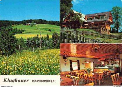 Ligist Steiermark AT Gasthof-Klugbauer Reinischkogel Blumenwiese Gaststube Almga