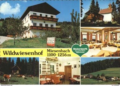 Miesenbach Birkfeld Gasthof Pension Wildwiesenhof Urlaub auf dem Bauernhof Viehw
