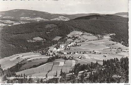 STEIERMARK  ( STYRIE  - VUE  GÉNÉRALE  - CPSM ( 21 / 4 / 319  )