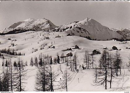 AK 210744 AUSTRIA - Tauplitz Hochplateau