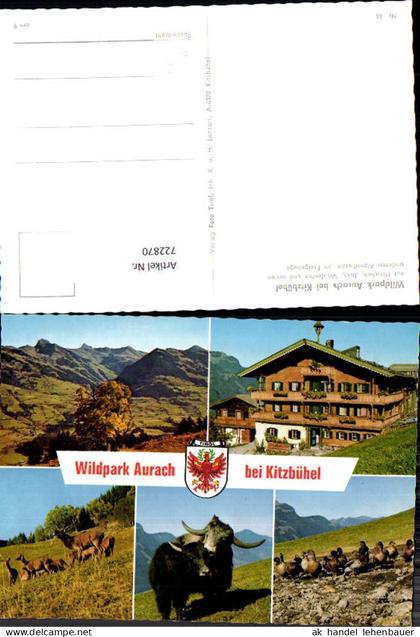 722870 Kitzbühel Wildpark Aurach Kitzbühel Bez. Kitzbühel