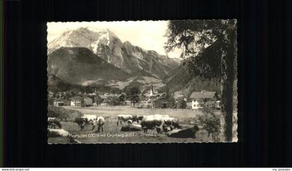 Mayrhofen Zillertal Gruenberg Kuehe
