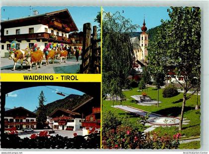 10277950 - Waidring
