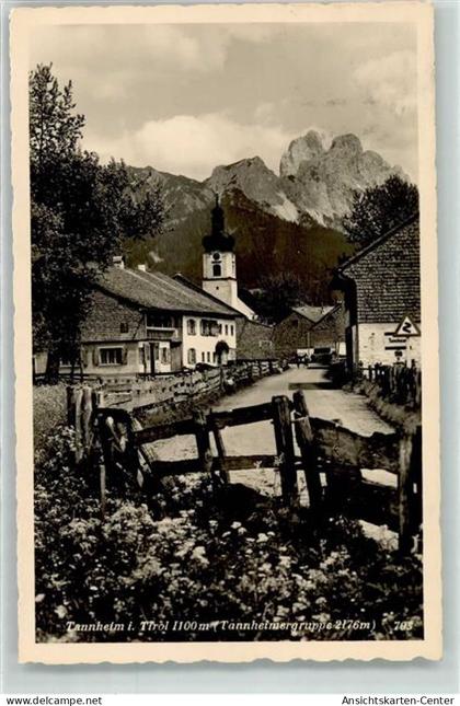 39381016 - Tannheim