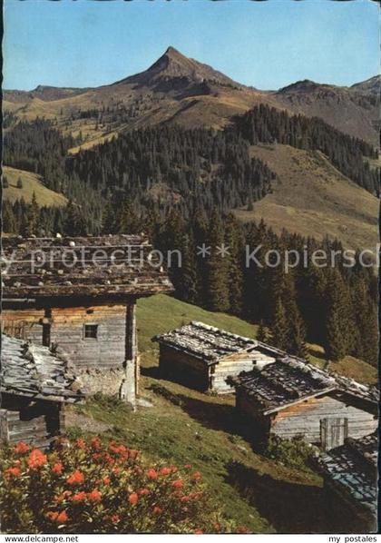Brixen Thale Alpenmotiv Almhuetten im Brixental gegen Brechhorn