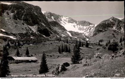 50454606 - Tannheim