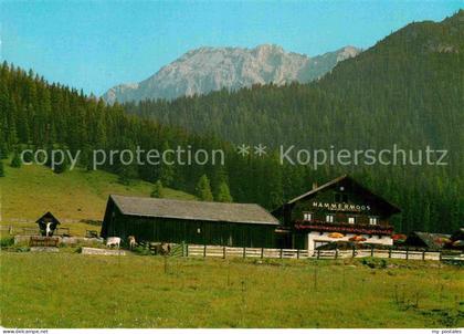 Leutasch Haemmermoosalm