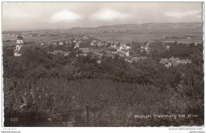Vienna, Bisamberg old postcard not travelled bb151028