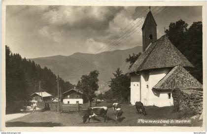 Zell am See, Thumersbach