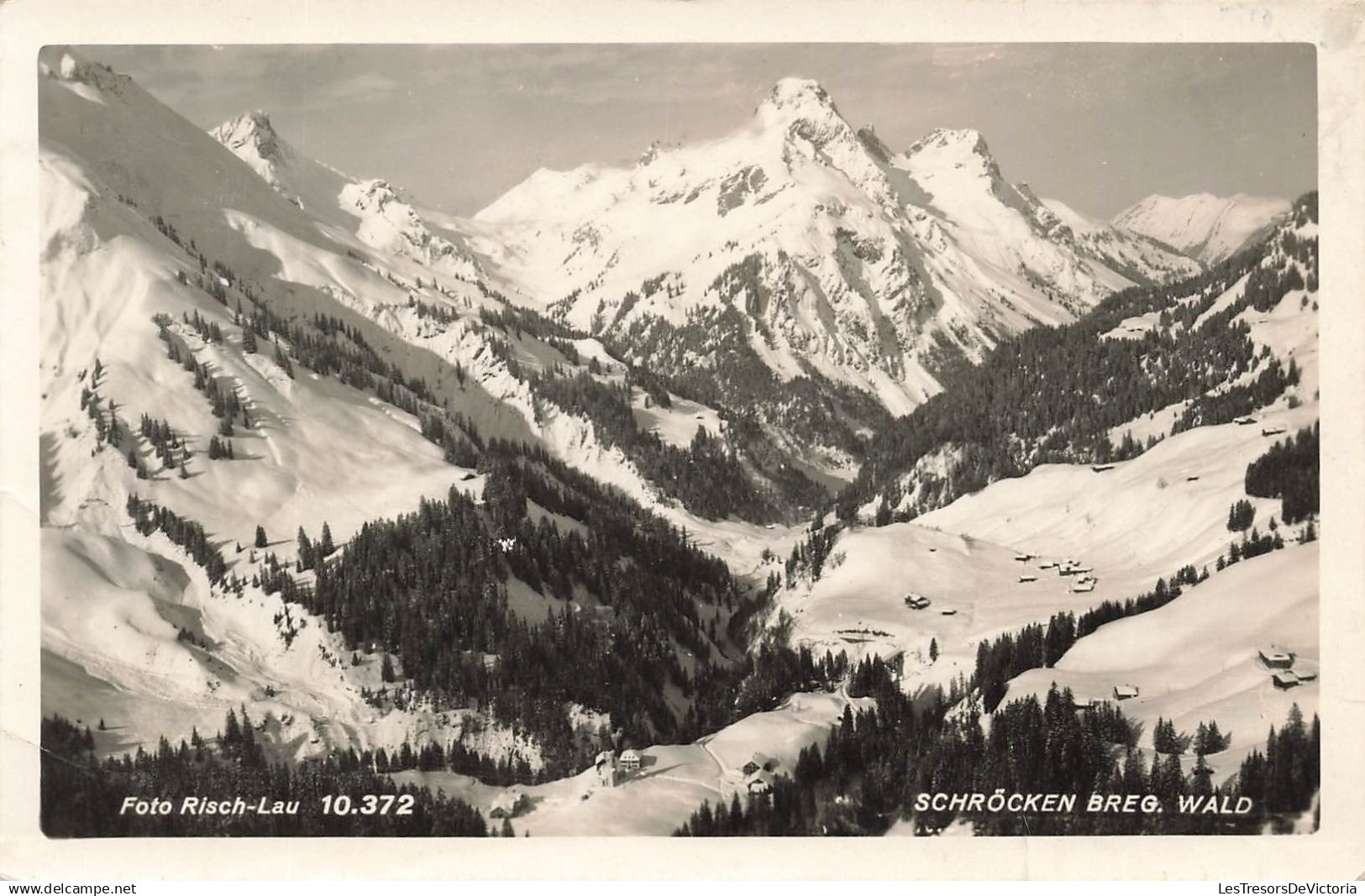 AUTRICHE - Schröcken - Montagne - Neige - Forêt - conifères - Habitations - Foto Risch Lau  - Carte postale