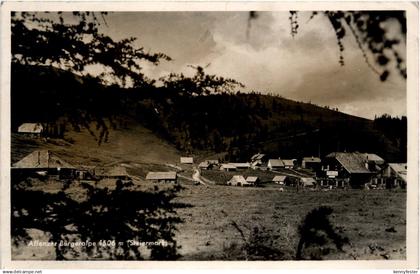 Aflenz/Steiermark -Bürgeralpe