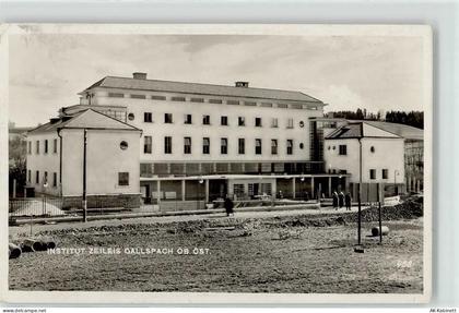 4713 Gallspach - Institut Zeileis - 52196426