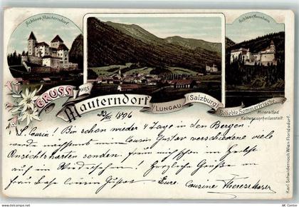 5570 Mauterndorf Lithographie Schloss Mauterndorf Schloss Moosham - 13622665