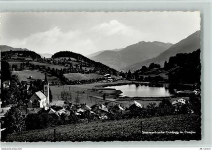 5622 Goldegg im Pongau - 10059993