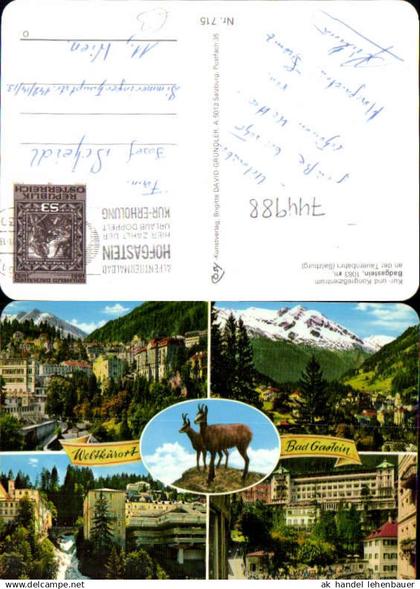 744988 Mehrbild AK Bad Gastein Wasserfall Ansichten Gams Gämse