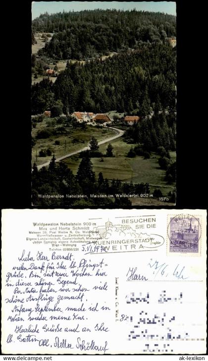 Ansichtskarte Weitra Waldpension Nebellstein Waldviertel 1972