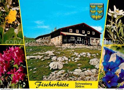 Puchberg Schneeberg Fischerhuette am Schneeberg Alpenflora Edelweiss Blauer Enzi