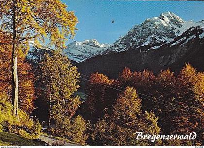 AK 191526 AUSTRIA - Bregenzerwald