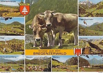 AK 195445 AUSTRIA - Bregenzerwald